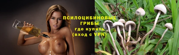 амф Алзамай