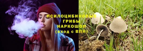 ALPHA PVP Алексеевка
