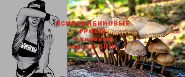 прущие грибы Алексин
