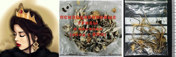 прущие грибы Алексин