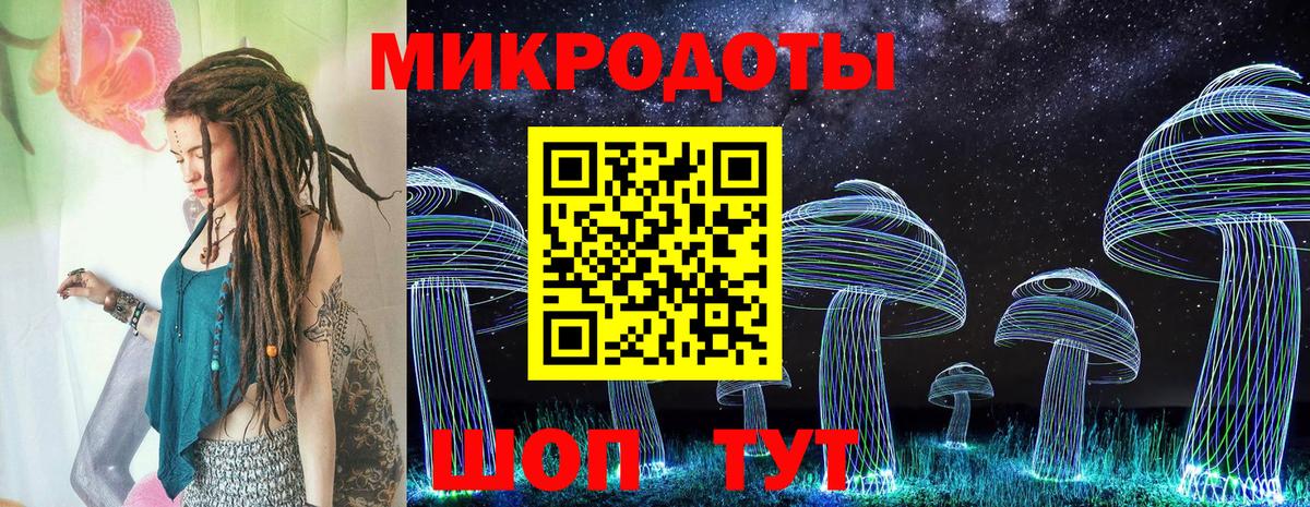 Галлюциногенные грибы MAGIC MUSHROOMS  Вход с VPN  Курчалой 